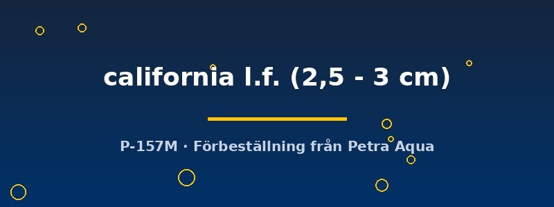 petra-ph2-174114 petra-ph2-174114