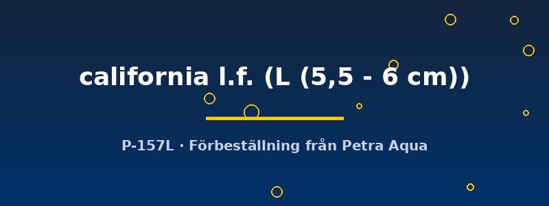 petra-ph2-174118 petra-ph2-174118