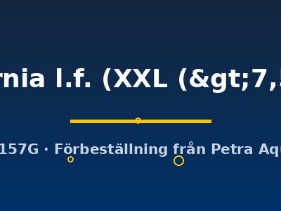 california l.f. (XXL (>7,5 cm))