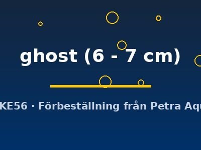 ghost (6 - 7 cm)