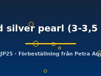 gold silver pearl (3-3,5 cm)