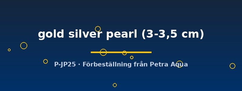 petra-ph2-174239 petra-ph2-174239