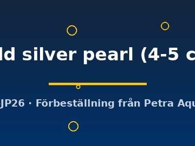 gold silver pearl (4-5 cm)