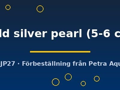 gold silver pearl (5-6 cm)