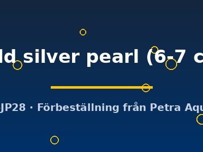 gold silver pearl (6-7 cm)