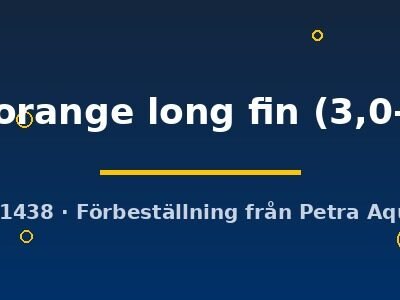 Pterophyllum scalare koi full orange long fin 3,0–4,0 cm