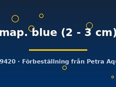 map. blue (2 - 3 cm)