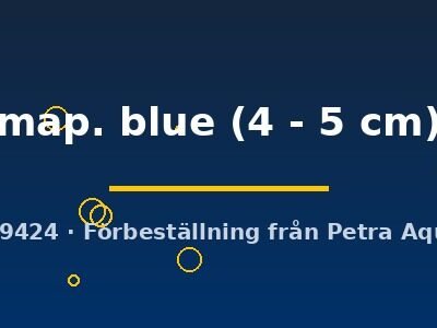 map. blue (4 - 5 cm)