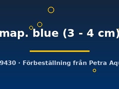 map. blue (3 - 4 cm)