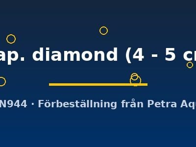 map. diamond (4 - 5 cm)