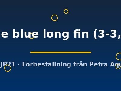 marble blue long fin (3-3,5 cm)