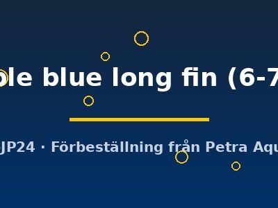 marble blue long fin (6-7 cm)