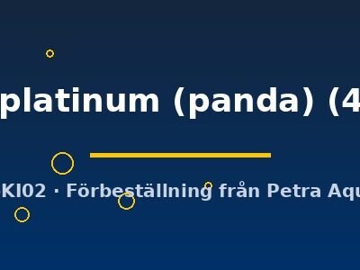 Pterophyllum scalare marble platinum (panda) 4–5 cm