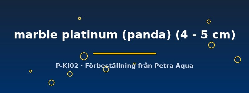 petra-ph2-174418 petra-ph2-174418