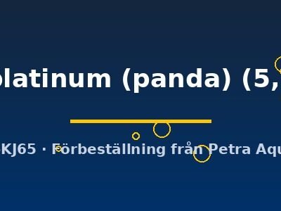 Pterophyllum scalare marble platinum (panda) 5,5–6 cm