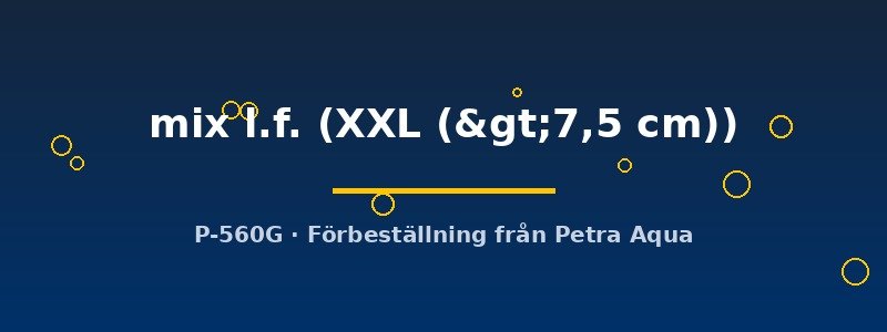 petra-ph2-174436 petra-ph2-174436