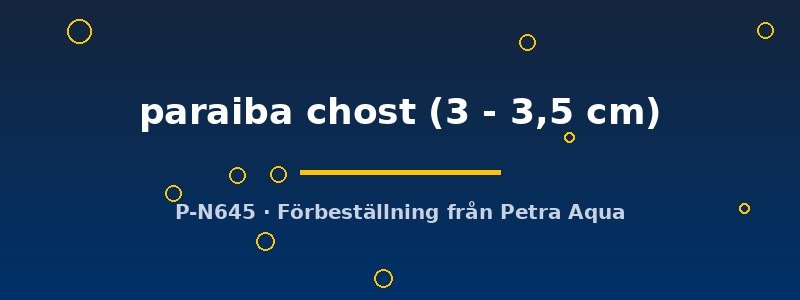 petra-ph2-174441 petra-ph2-174441