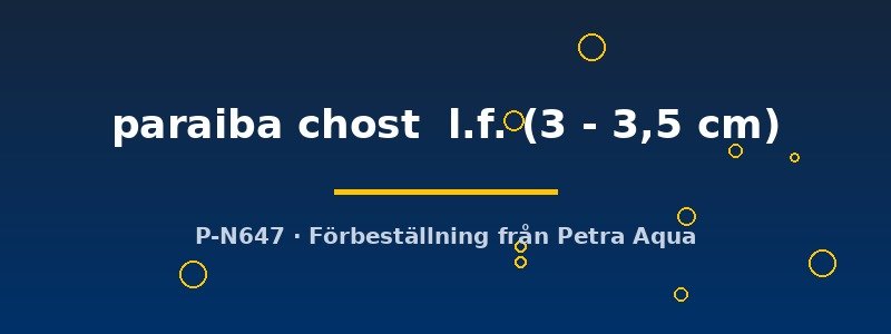 petra-ph2-174443 petra-ph2-174443