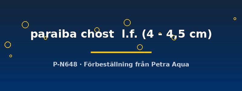 petra-ph2-174444 petra-ph2-174444
