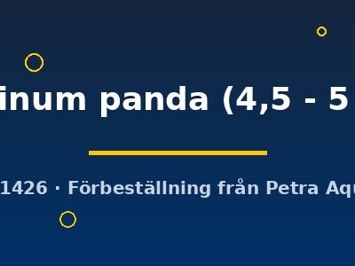 platinum panda (4,5 - 5 cm)