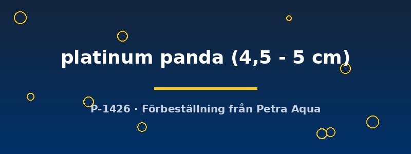 petra-ph2-174461 petra-ph2-174461