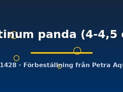 platinum panda (4-4,5 cm)