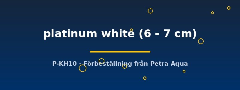 petra-ph2-174472 petra-ph2-174472