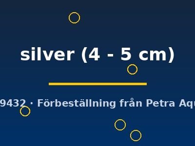 silver (4 - 5 cm)