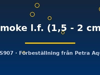 smoke l.f. (1,5 - 2 cm)