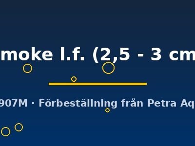 smoke l.f. (2,5 - 3 cm)