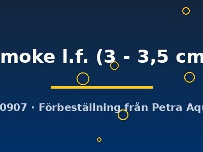 smoke l.f. (3 - 3,5 cm)
