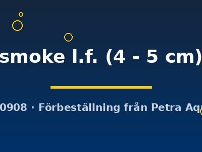 smoke l.f. (4 - 5 cm)