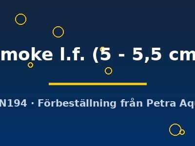 smoke l.f. (5 - 5,5 cm)