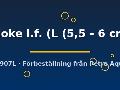 smoke l.f. (L (5,5 - 6 cm))