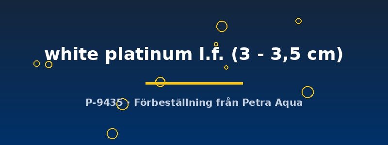 petra-ph2-174579 petra-ph2-174579