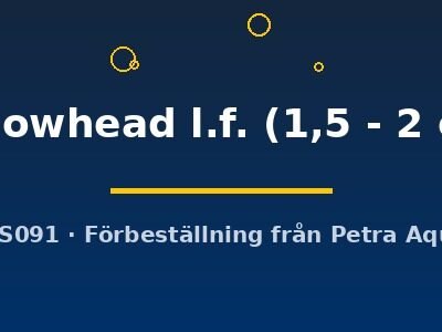 yellowhead l.f. (1,5 - 2 cm)