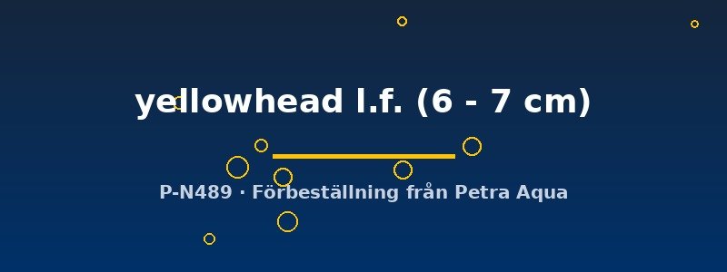 petra-ph2-174597 petra-ph2-174597