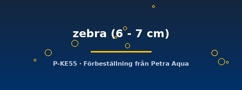 petra-ph2-174609 petra-ph2-174609