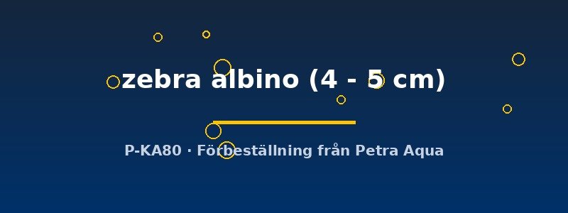 petra-ph2-174614 petra-ph2-174614