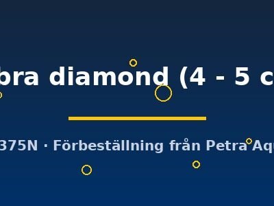 zebra diamond (4 - 5 cm)