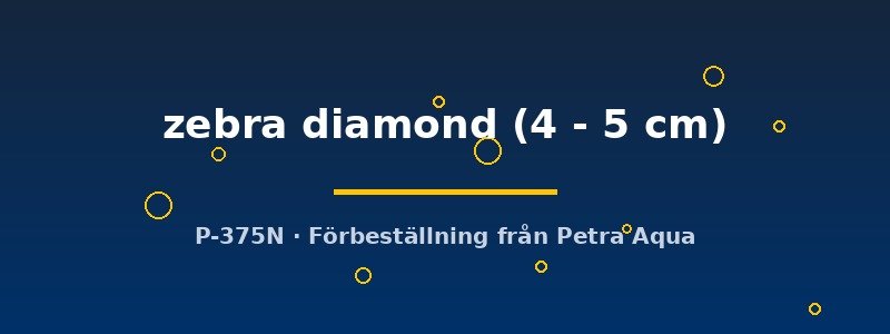 petra-ph2-174623 petra-ph2-174623