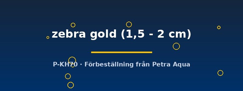 petra-ph2-174629 petra-ph2-174629