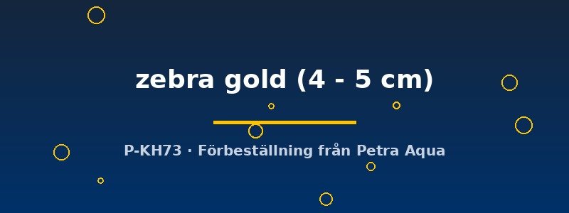 petra-ph2-174632 petra-ph2-174632