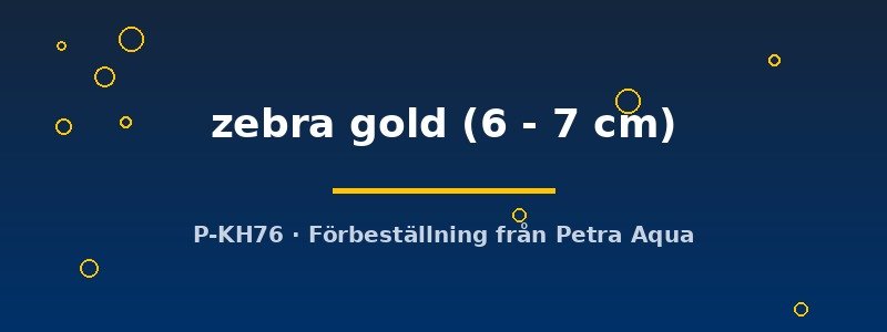 petra-ph2-174635 petra-ph2-174635