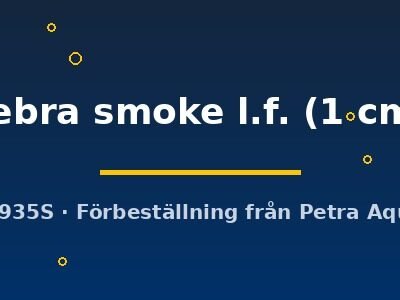zebra smoke l.f. (1 cm)