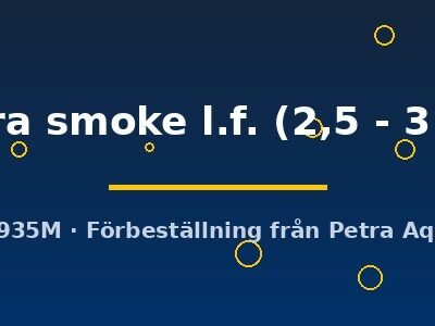 zebra smoke l.f. (2,5 - 3 cm)