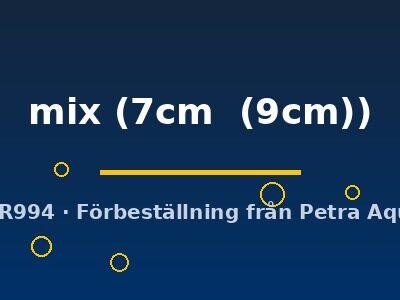 Discus mix 7–9 cm