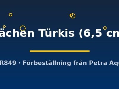 flächen Türkis (6,5 cm)