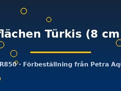 Discus orig Stendker flächen Türkis 8 cm
