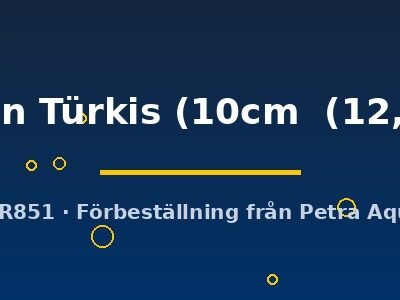 flächen Türkis (10cm  (12,5cm))